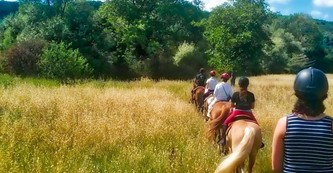 Reiten in den Chianti-Weinbergen in Florence