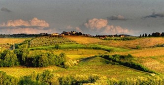 Die Chianti & San Gimignano Tour in Florence