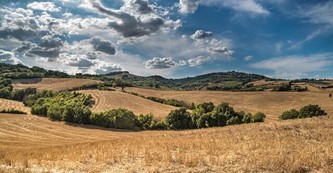 Escursioni Fuori Città a Firenze